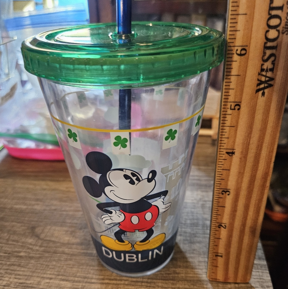 Disney Mickey Mouse Dublin Tumbler with Green Lid